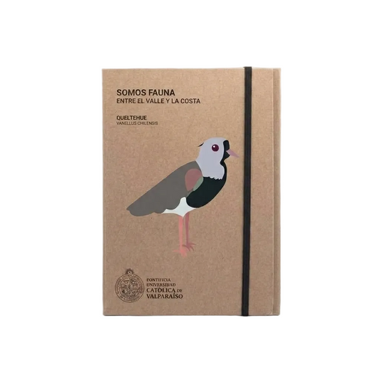 Libreta Memo Workit Fauna