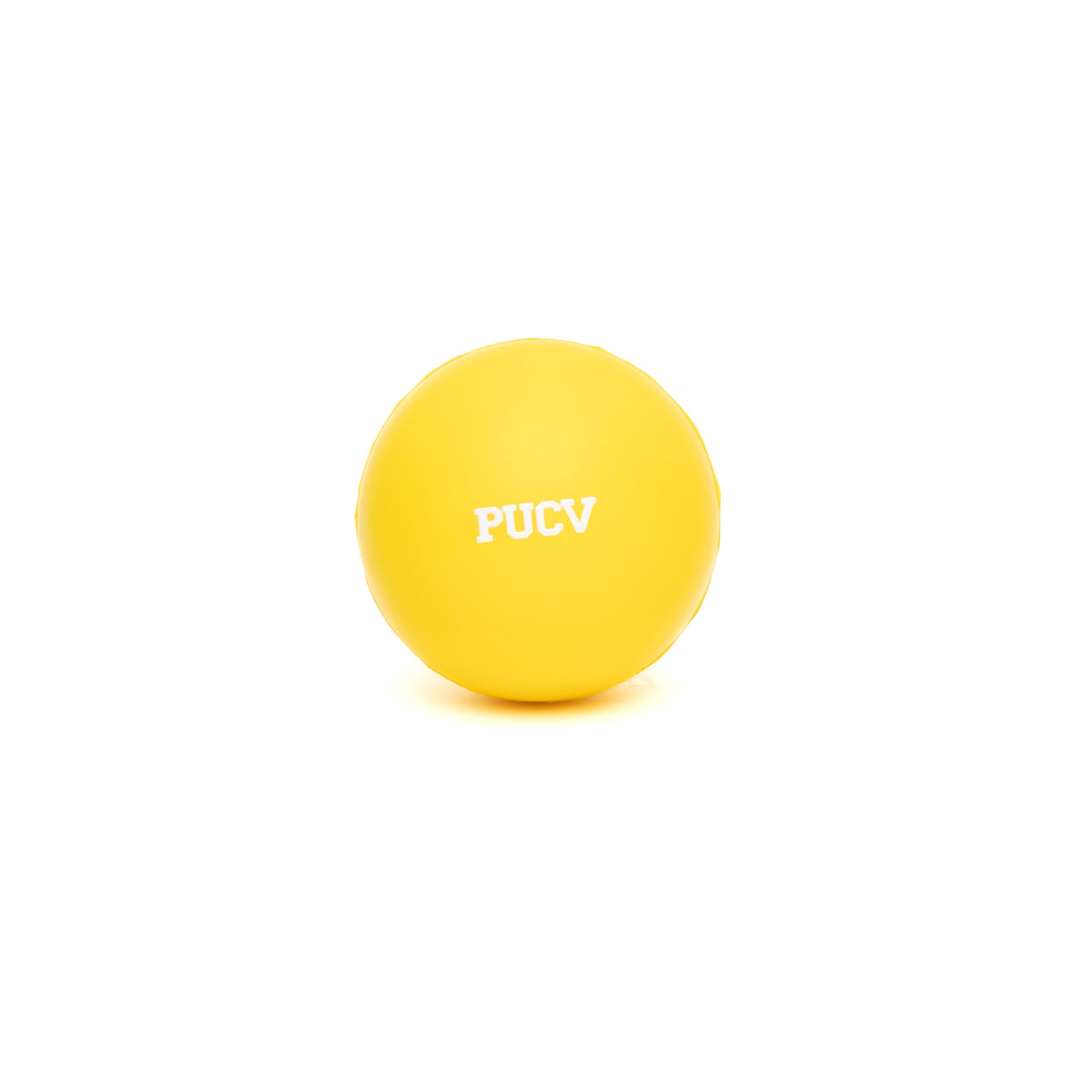 Pelota Relax PUCV