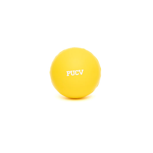 Pelota Relax PUCV