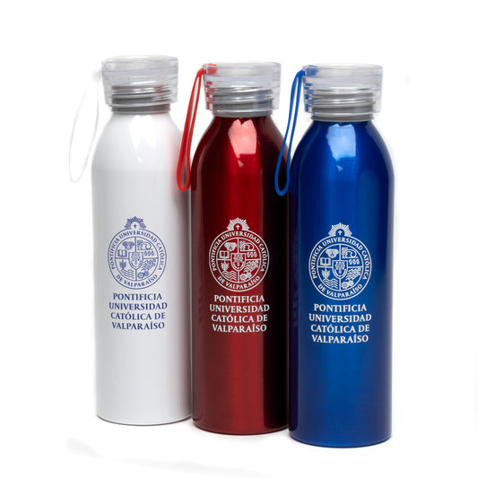 Botella Han PUCV